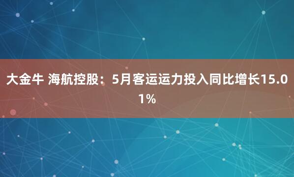 大金牛 海航控股：5月客运运力投入同比增长15.01%