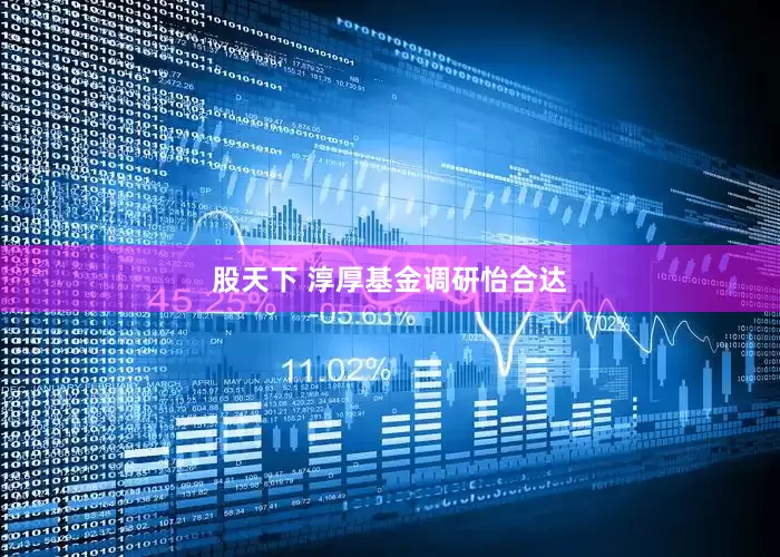 股天下 淳厚基金调研怡合达