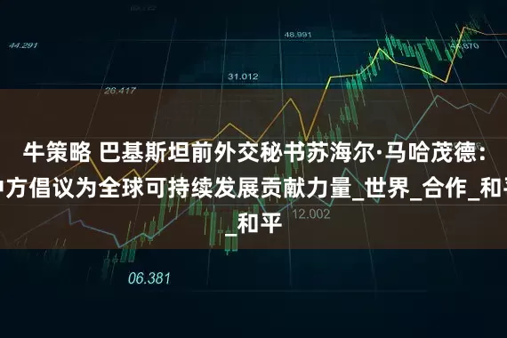 牛策略 巴基斯坦前外交秘书苏海尔·马哈茂德：中方倡议为全球可持续发展贡献力量_世界_合作_和平
