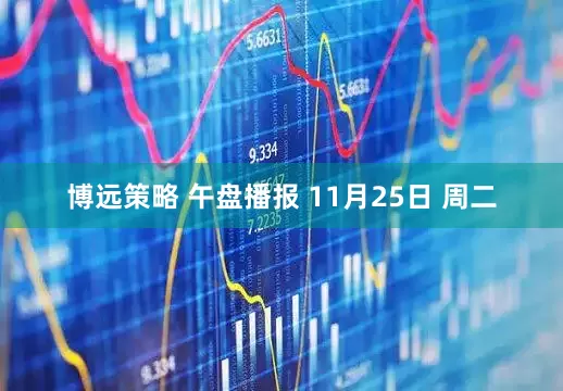 博远策略 午盘播报 11月25日 周二
