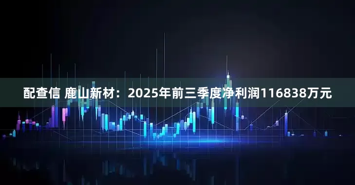 配查信 鹿山新材：2025年前三季度净利润116838万元