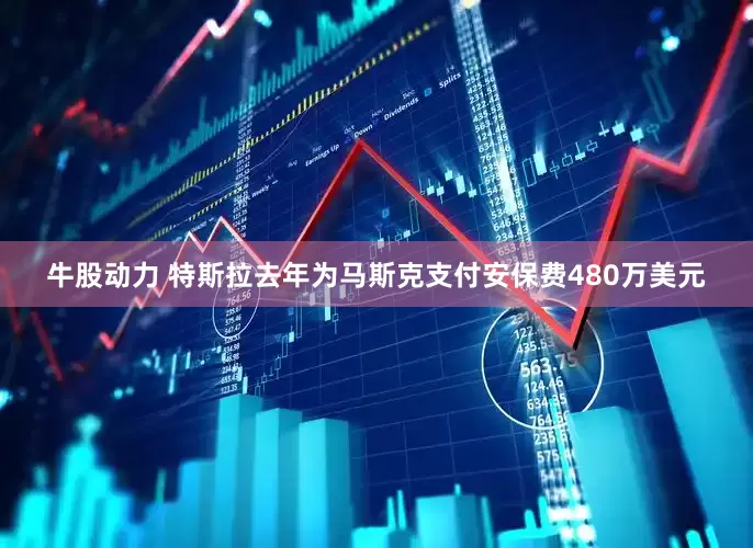 牛股动力 特斯拉去年为马斯克支付安保费480万美元